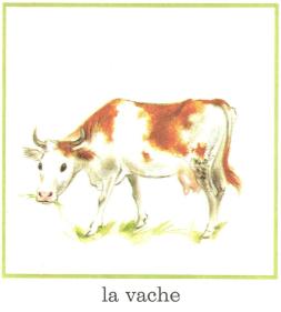 vache pere castor