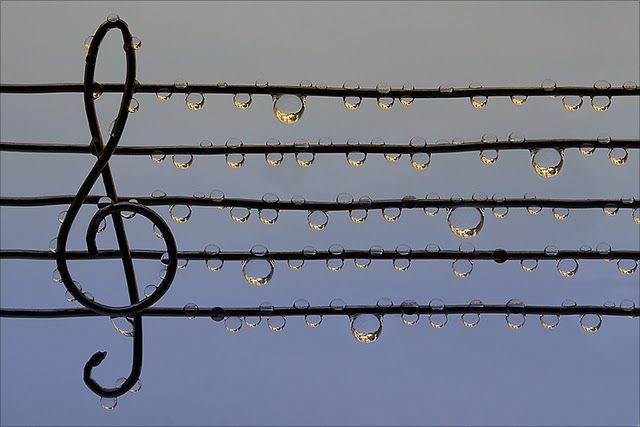 une portée qui pleure