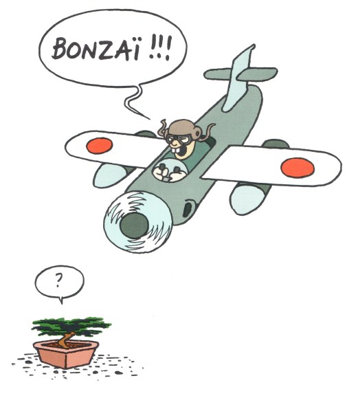 chat bonsai