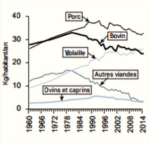50-ands-de-conso-de-viande-en-france